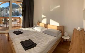 Apartman Hechlstein v Tauplitz